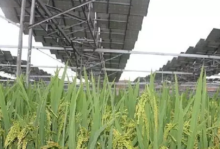 夏季能提高光伏電站發(fā)電量不假，但也會降低發(fā)電量！用戶該怎么辦？