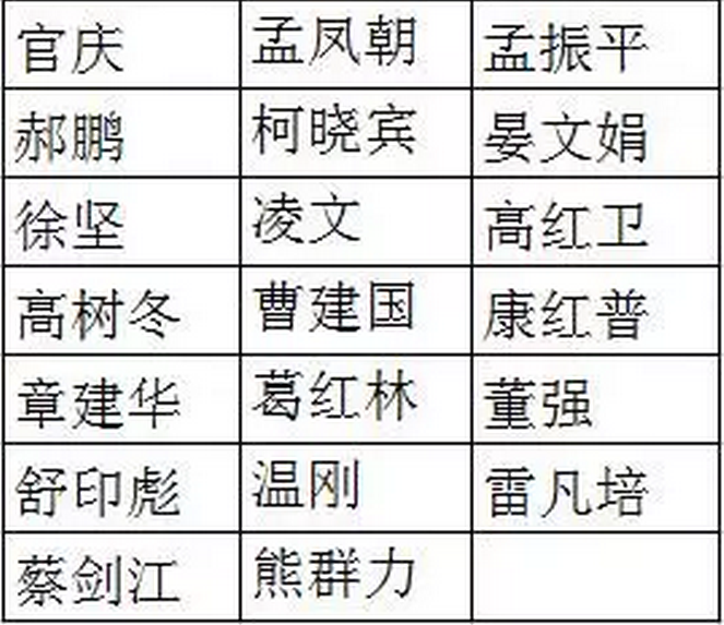 國(guó)網(wǎng)、國(guó)電投、大唐、神華、三峽等8家能源企業(yè)，總計(jì)29家央企大佬入選十九大代表