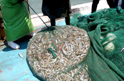 祝賀錦浪科技第四屆《藍(lán)天實驗者》光伏高能會圓滿落幕