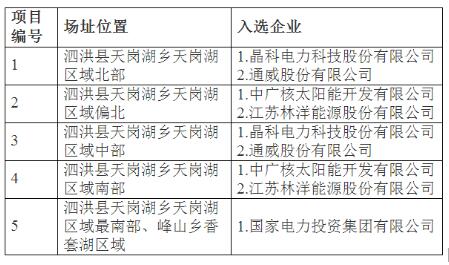 定了！7大應(yīng)用領(lǐng)跑基地投資企業(yè)最終名單敲定