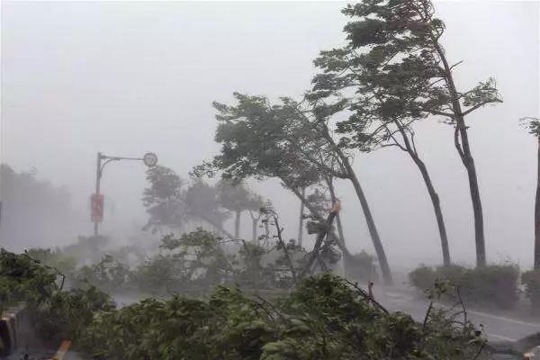 山竹肆掠： 臺風(fēng)天，光伏電站如何將損失降至最低